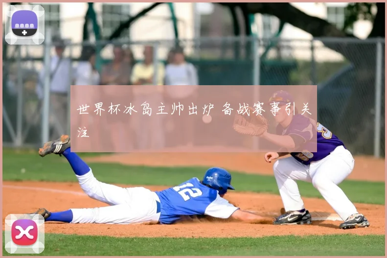 世界杯冰岛主帅出炉 备战赛事引关注