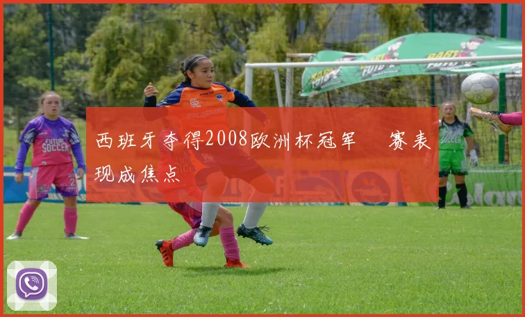 西班牙夺得2008欧洲杯冠军 決赛表现成焦点