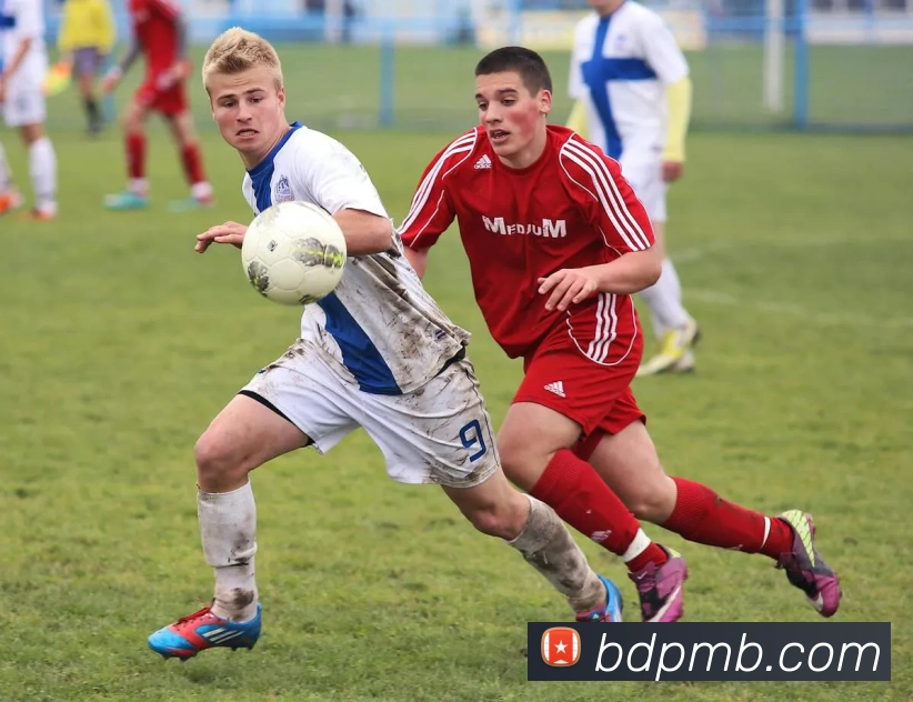 世界杯app官网平台生态图